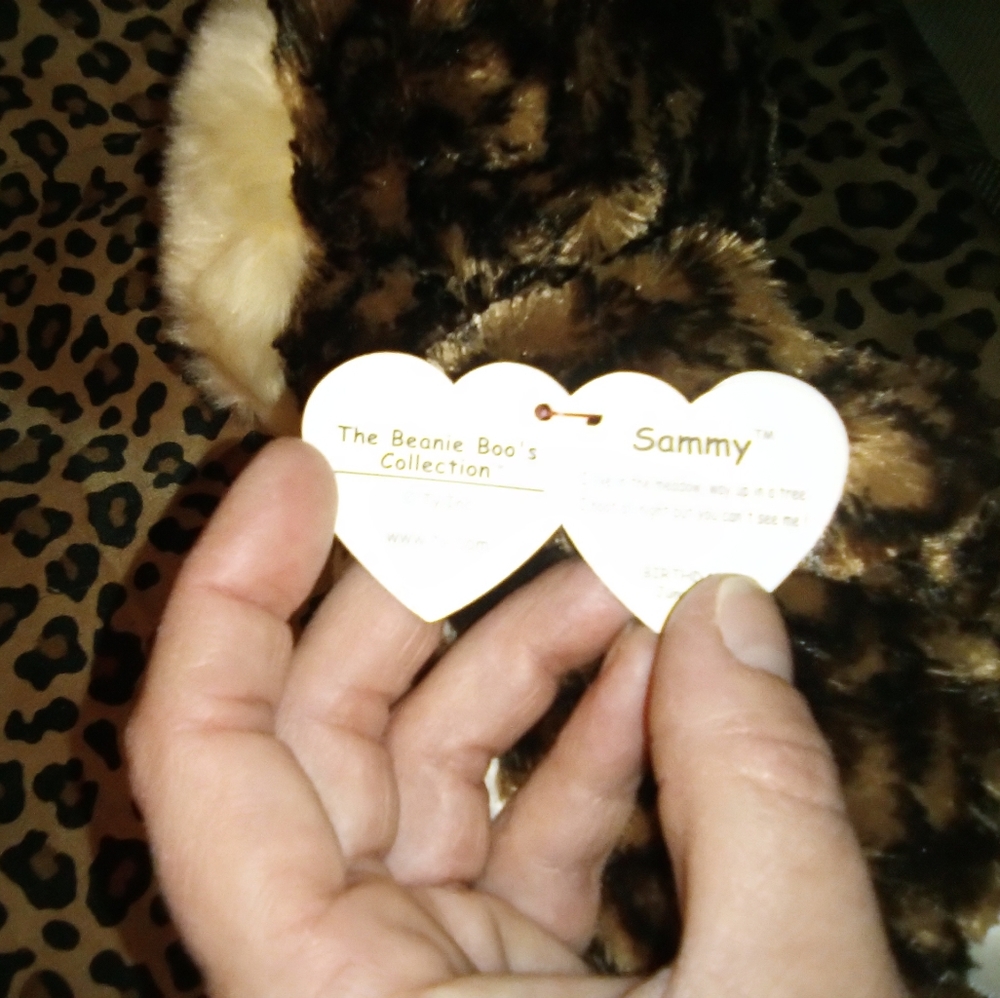 🦉TY 10" Owl 'Sammy' 🦉 - Picture 4 of 4